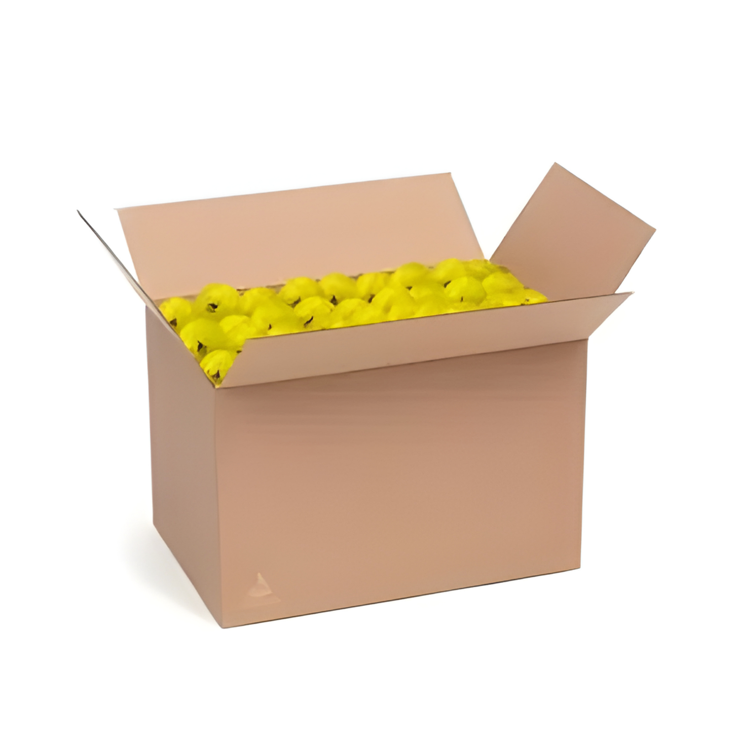 Joola HC-40 Pickleballs (Pack of 20)